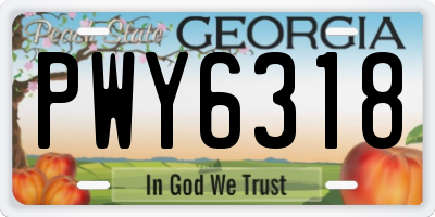 GA license plate PWY6318