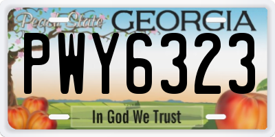 GA license plate PWY6323