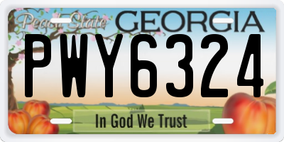 GA license plate PWY6324
