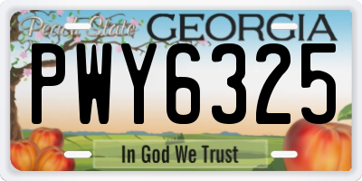 GA license plate PWY6325
