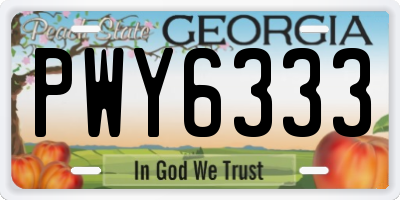 GA license plate PWY6333