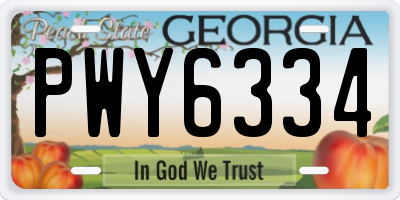 GA license plate PWY6334