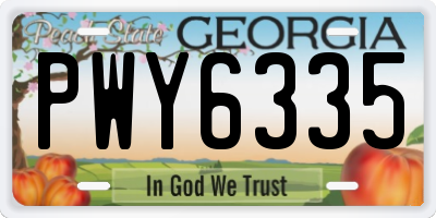 GA license plate PWY6335
