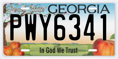 GA license plate PWY6341