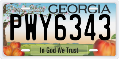 GA license plate PWY6343