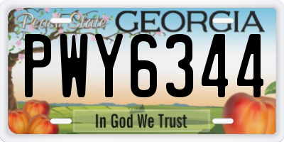 GA license plate PWY6344