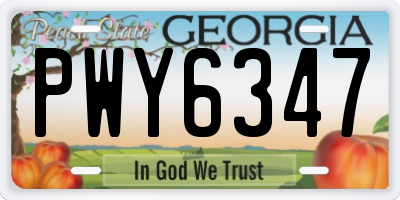 GA license plate PWY6347