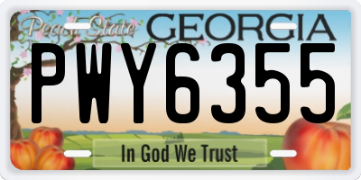GA license plate PWY6355
