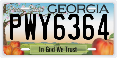 GA license plate PWY6364