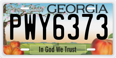 GA license plate PWY6373