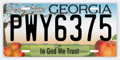 GA license plate PWY6375