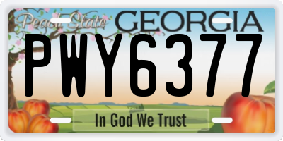 GA license plate PWY6377