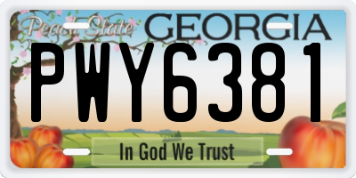 GA license plate PWY6381