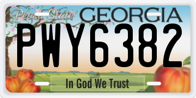 GA license plate PWY6382