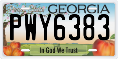 GA license plate PWY6383