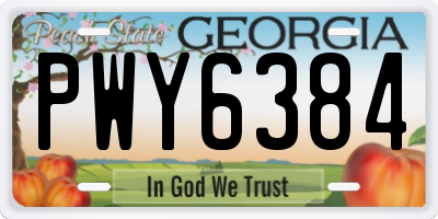 GA license plate PWY6384