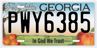 GA license plate PWY6385