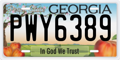 GA license plate PWY6389