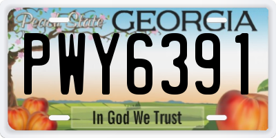 GA license plate PWY6391