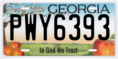 GA license plate PWY6393