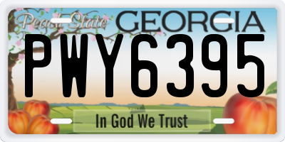 GA license plate PWY6395