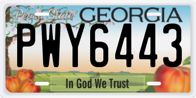 GA license plate PWY6443