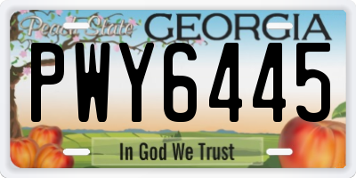 GA license plate PWY6445