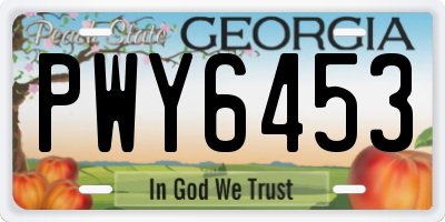GA license plate PWY6453