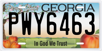 GA license plate PWY6463
