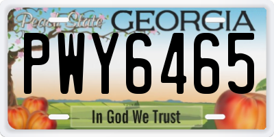 GA license plate PWY6465
