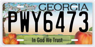 GA license plate PWY6473