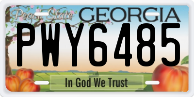GA license plate PWY6485