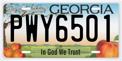 GA license plate PWY6501