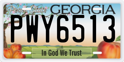 GA license plate PWY6513
