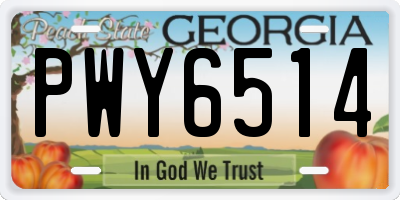GA license plate PWY6514