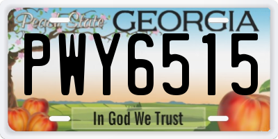 GA license plate PWY6515