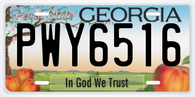 GA license plate PWY6516