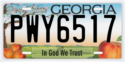 GA license plate PWY6517