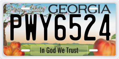 GA license plate PWY6524