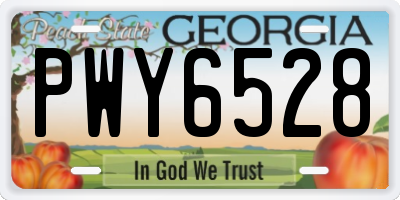 GA license plate PWY6528