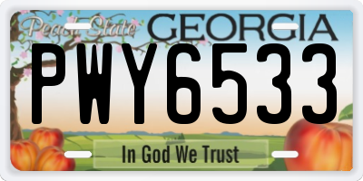 GA license plate PWY6533