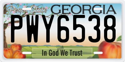 GA license plate PWY6538