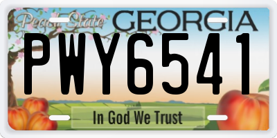 GA license plate PWY6541