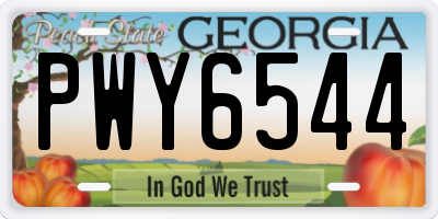 GA license plate PWY6544