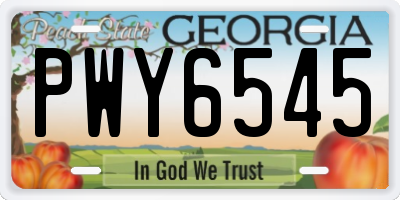 GA license plate PWY6545