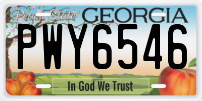 GA license plate PWY6546