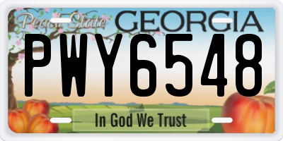 GA license plate PWY6548