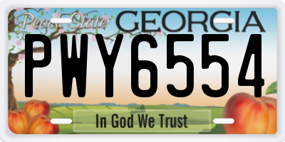 GA license plate PWY6554