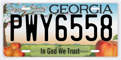 GA license plate PWY6558
