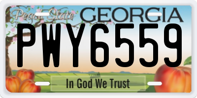GA license plate PWY6559